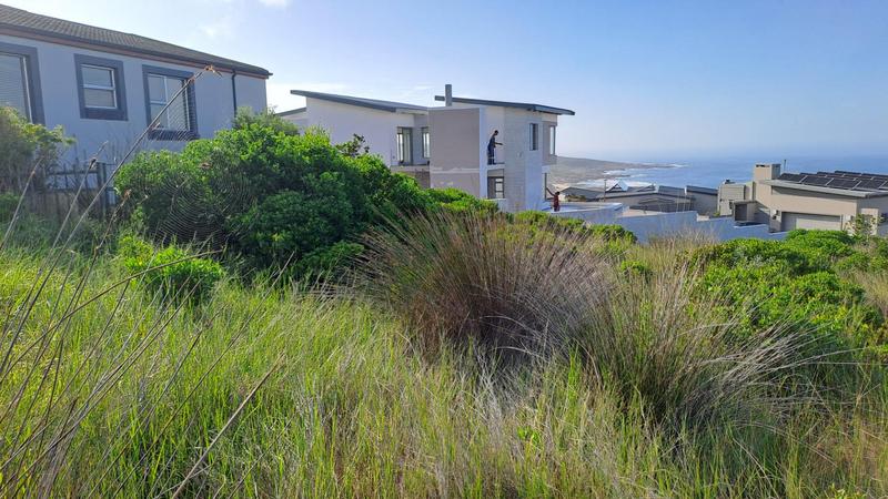 0 Bedroom Property for Sale in Jongensfontein Western Cape